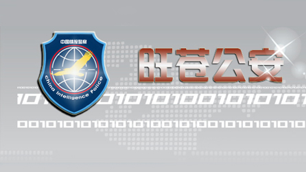 旺苍公安合成作战平台