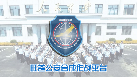 旺苍公安合成作战